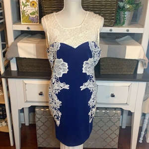 Venus Blue Sleeveless‎ Dress w/White Lace Overlay Size Medium